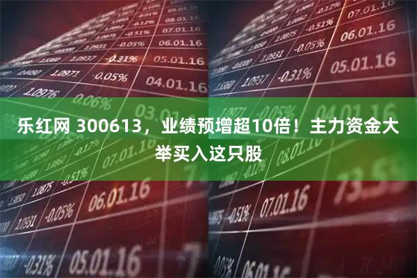 乐红网 300613，业绩预增超10倍！主力资金大举买入这只股