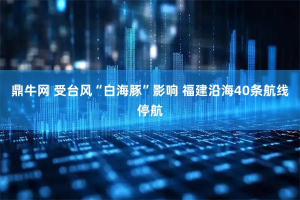 鼎牛网 受台风“白海豚”影响 福建沿海40条航线停航