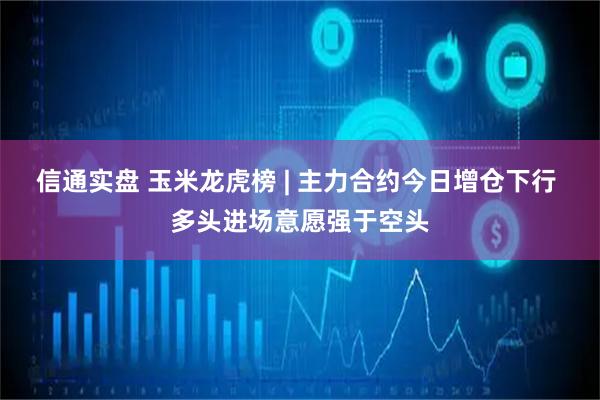 信通实盘 玉米龙虎榜 | 主力合约今日增仓下行 多头进场意愿强于空头
